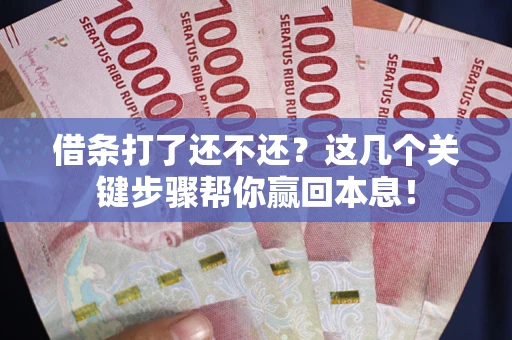 北京借条打了还不还？这几个关键步骤帮你赢回本息！