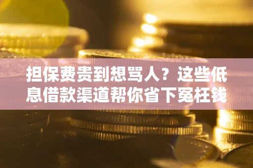 北京担保费贵到想骂人？这些低息借款渠道帮你省下冤枉钱