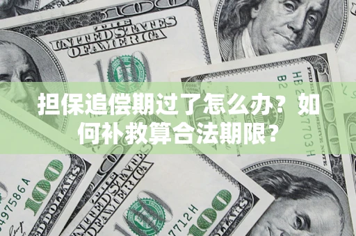 北京担保追偿期过了怎么办？如何补救算合法期限？