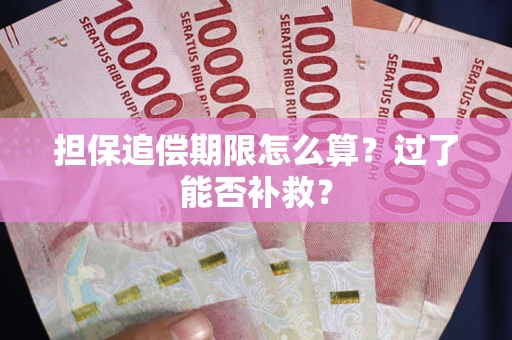 北京担保追偿期限怎么算？过了能否补救？
